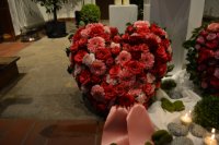 das zu meldende Bild