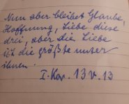 das zu meldende Bild